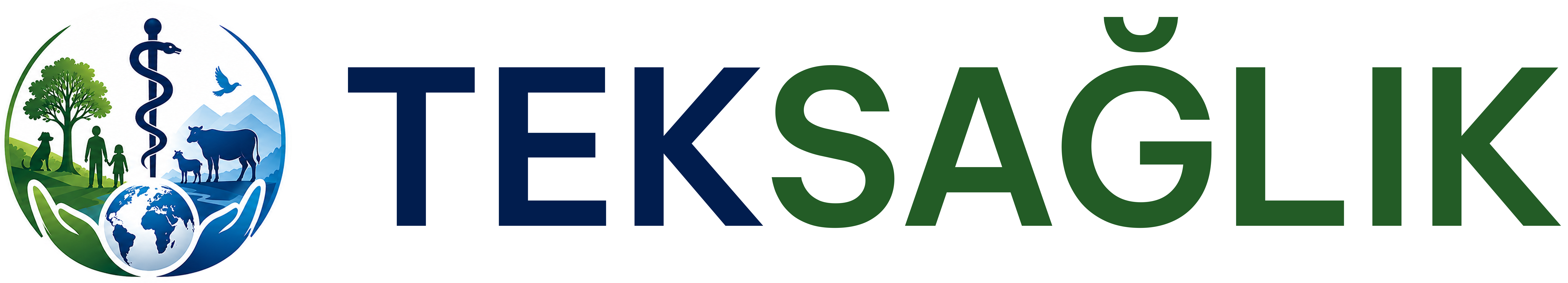 TekSağlık