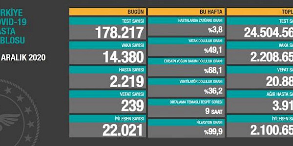 Dünyada ve Türkiye’de Koronavirüs Salgınında Son Durum (31 Aralık 2020)