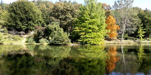 21 Mart Dünya Ormancılık ve 22 Mart Dünya Su Günü