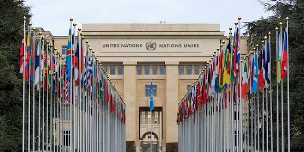BM Kuruluşları’nın Afganistan için acil yardım çağrısı!