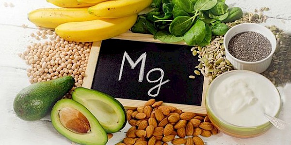 Magnezyum ve Beslenme