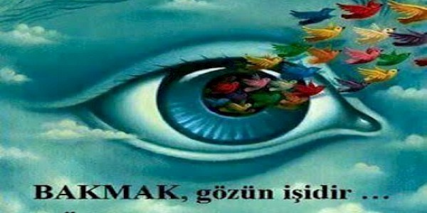 Görmek İçin Bakın