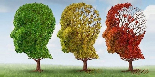 Dikkat! Gri Tsunami Geliyor... Alzheimer!
