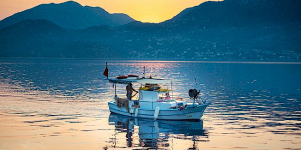İyinin Gücü...