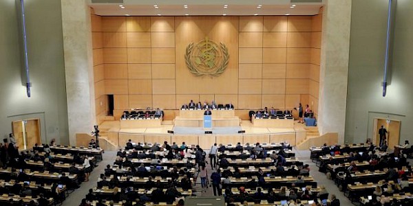 75. Dünya Sağlık Asamblesi'nin teması “Barış için Sağlık, Sağlık için Barış” konusuna odaklanacak.