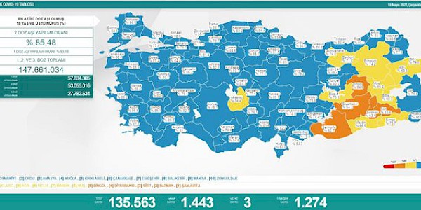 Koronavirüs’te son durum (31 Mayıs 2022)