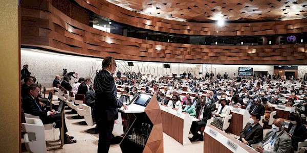 DSÖ Genel Direktörü, 75. Dünya Sağlık Asamblesi Açılış Konuşması