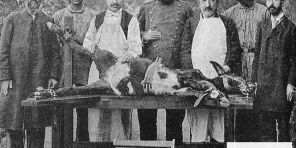 Yazı Dizisi 4: Osmanlı'nın Son 100 Yılında Salgın Hastalıklarla Mücadelesi, Aşı ve Serum Üretimleri