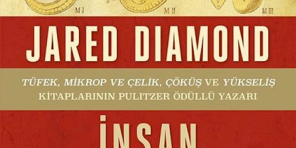 İnsan Cinselliğinin Evrimi