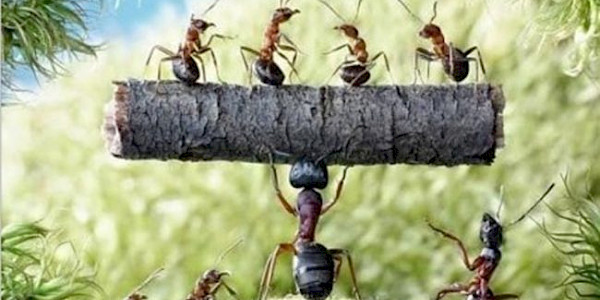 Her şey inanmakla başlar!