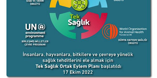 3 Kasım Dünya Tek Sağlık Günü