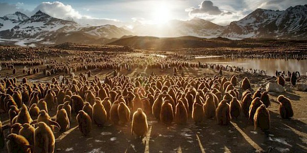 BM Çevre Programı, Toprak Ana'nın beş koruyucusunu onurlandırdı