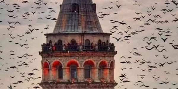 Bir Kızkulesi Öyküsü