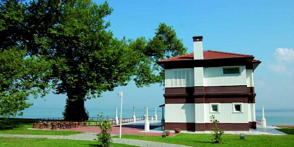 Çınar...