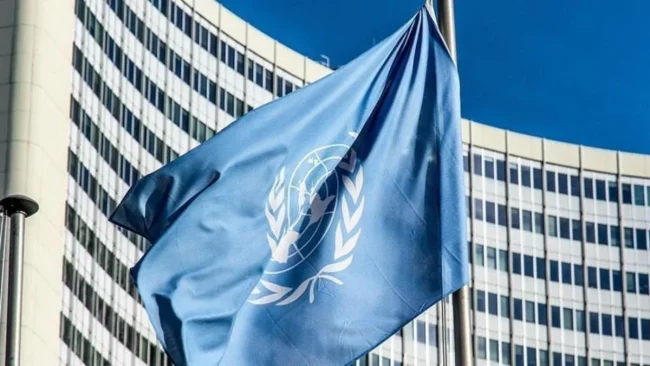 Birleşmiş Milletler Kalkınma Programı (UNDP)'nin Deprem Bölgesine Desteği