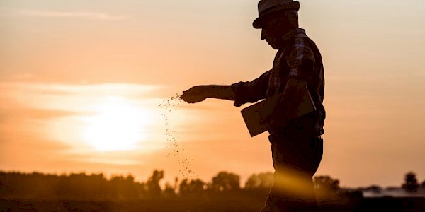 31 Mayıs Dünya Tütünsüz Günü