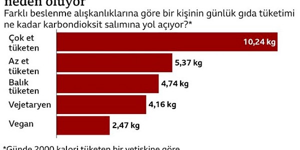 Yediklerimizle iklim krizi arasında ne tür bir ilişki var?