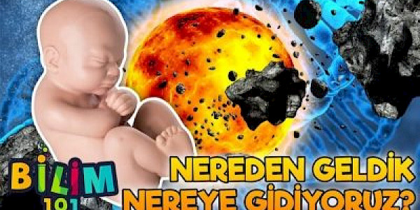 Son Doğal İnsan-Nereden Geldik Nereye Gidiyoruz?