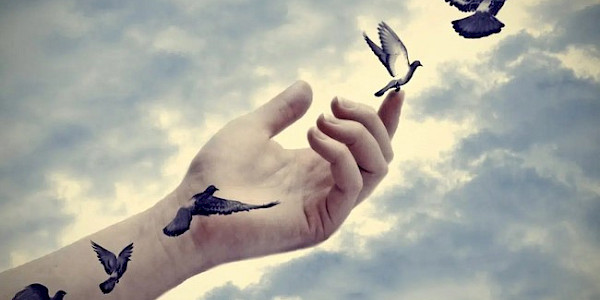 Evrendeki en ölümcül dans! Kuş ölür sen uçuşu hatırla…