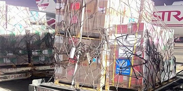 DSÖ, Gazze'deki ihtiyaç sahipleri için hayat kurtaran sağlık malzemelerini Mısır'a ulaştırdı.
