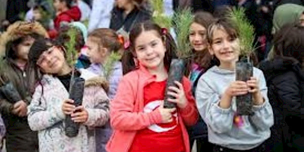 Filiz