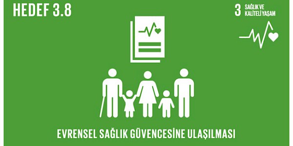 Dünya Sağlık İstatistikleri 2024 Raporu yayınlandı.