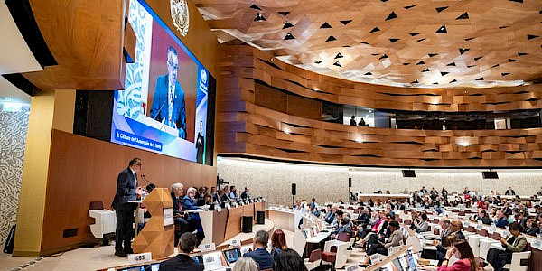 77. Dünya Sağlık Asamblesi’nin Son 3 gününde yaptığı çalışmalar ve alınan kararlar
