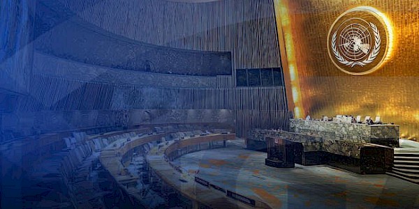 Uluslararası Göç Örgütü ve COP29 Başkanlığı; BM Genel Kurulunda “İklim-Barış-İnsan Hareketliliği” ilişkisin ele aldı.