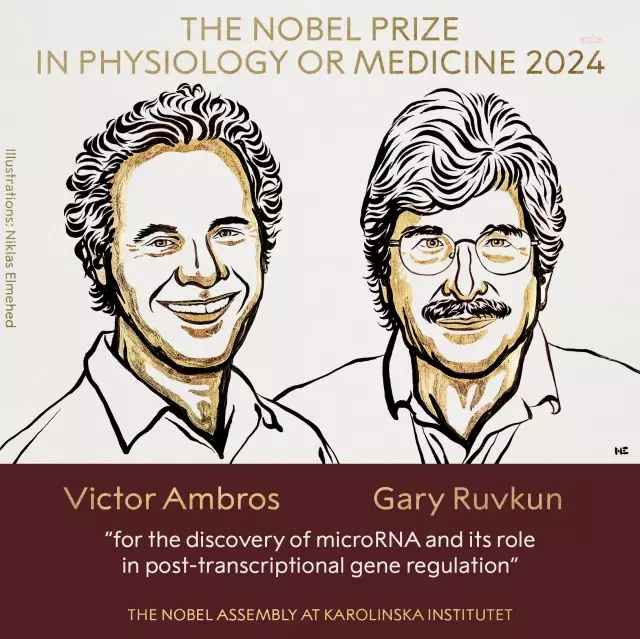 2024 Nobel Tıp Ödülü ABD'li bilim insanları Victor Ambros ve Gary Ruvkun'a verildi.