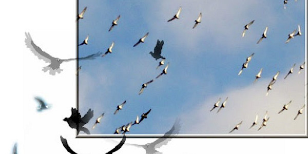 Yokluğun Sesi