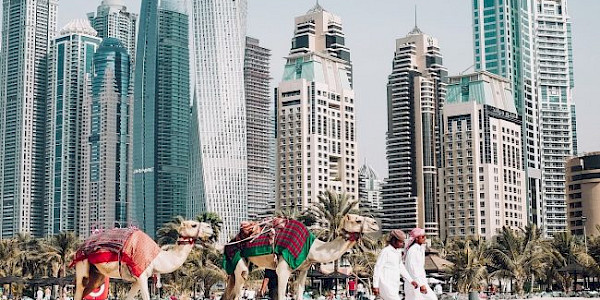 Çocuk Gözüyle Dubai Gezisi...