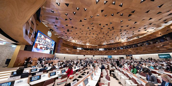 78. Dünya Sağlık Asamblesinde görüşülen önemli konular (27 Mayıs 2025)