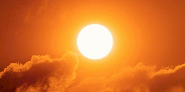Dünya Meteoroloji Örgütü: Aşırı sıcaklıklar dünya çapında rekor kırıyor