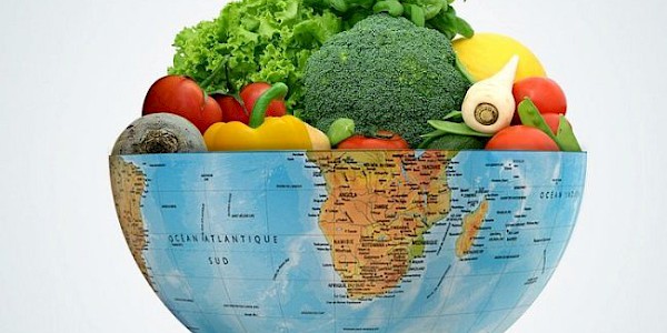 Temiz Gıdaya Erişim, İnsan Hakları ve Halk Sağlığı Krizi!