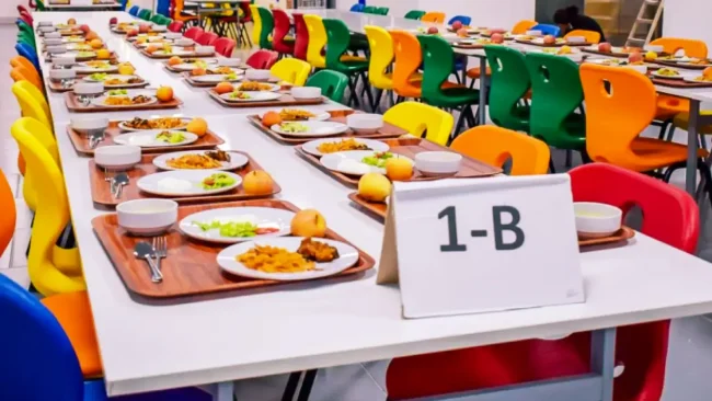 Bir Tabak Siyaset: Kumanya, Okul Yemekleri, DSÖ ve Türkiye