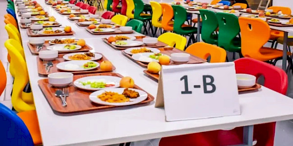 Bir Tabak Siyaset: Kumanya, Okul Yemekleri, DSÖ ve Türkiye