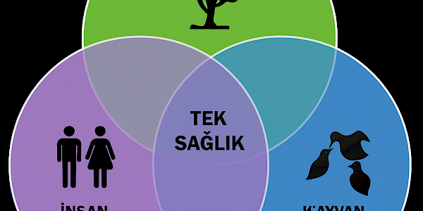 Tek Sağlık (One Health): Kavramın Özü, Sınırları ve Türkiye’ye Katkıları