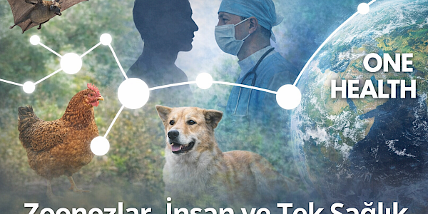 Zoonozlar, İnsan ve Tek Sağlık