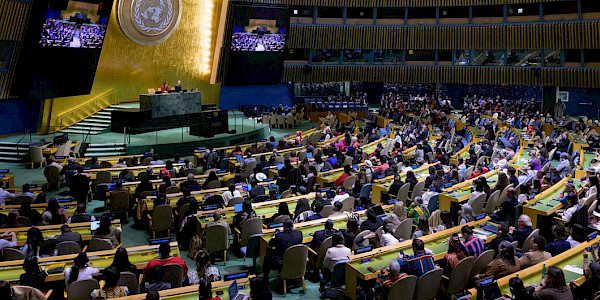 BM Forumu, Yerli Halkların Sağlık Hizmetlerine Dikkat Çekti