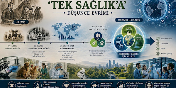 Güncel Gelişmeler Işığında Veteriner Halk Sağlığı'ndan ‘Tek Sağlık’a’ Düşünce Evrimi