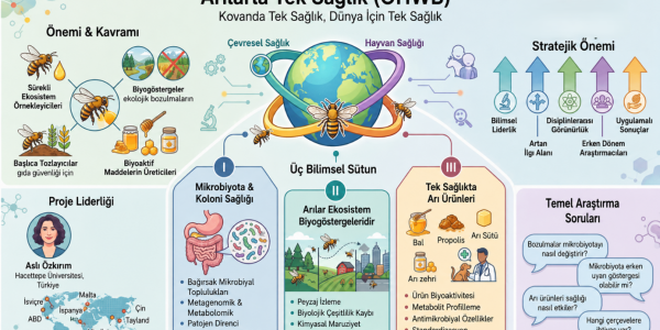 Kovandan Dünyaya: Arılarla Tek Sağlık Yaklaşımı