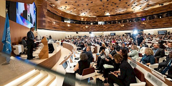 79. Dünya Sağlık Asamblesi (Cenevre, 18-23 Mayıs 2026)