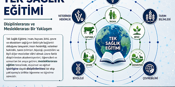 Tek Sağlık Eğitimi: ‘Antroposenik’ Tehditleri Anlatmanın, Toplumsal Farkındalığı Oluşturmanın Bilimsel Yolu…