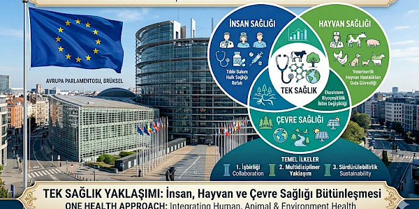 AB’nin “TEK SAĞLIK” Politika Perspektifi ve 2026 Parlamento Yasal Gündemine Yansımaları