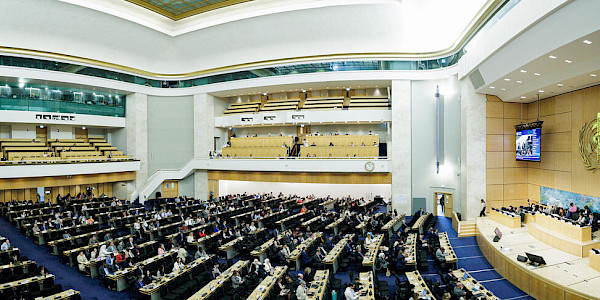 79. Dünya Sağlık Asamblesi'nin 3. Günü (20 Mayıs 2026)