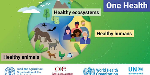 Birleşmiş Milletler Çevre Programı (UNEP) ve Tek Sağlık Yaklaşımı: Çevre, İklim ve Ekosistem Perspektif