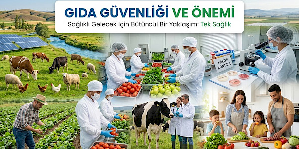 Gıda Güvenliği ve Önemi