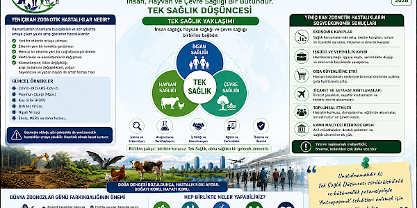 Tek Sağlık Penceresinden “Dünya Zoonozlar Günü” ve Doğru Bilginin Sürdürülebilirliği…
