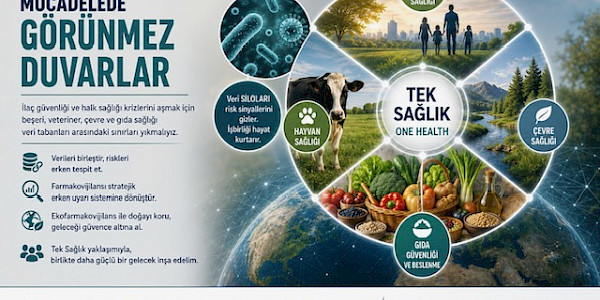 Antimikrobiyal Dirençle Mücadelede “Görünmez Duvarlar”