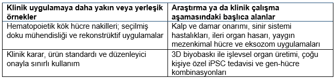 teksaglik-insan-sagligi-rejeneratif-tibbin-gelisimi-ve-gelecegi-hasarli-dokulari-onarmaktan-gelecegin-tedavilerine.png